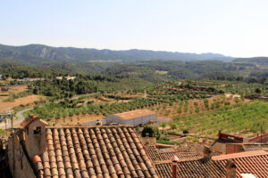 Vilosell, les Garrigues