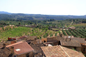 Vilosell, les Garrigues