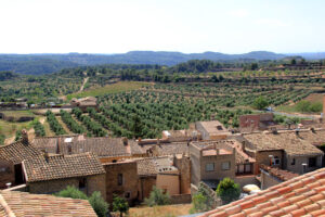 Vilosell, les Garrigues