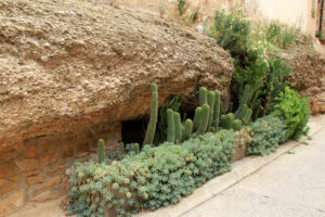 Bellaguarda, les Garrigues